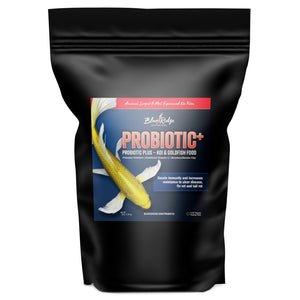 Blue Ridge Koi: Probiotic Plus Food