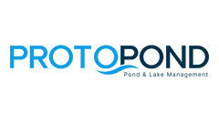 The Protopond