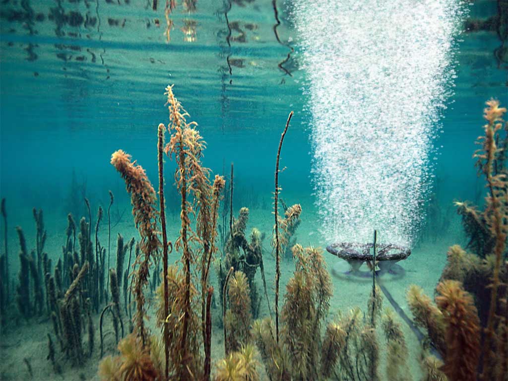 Scott Aerator Solar XL Sub-Surface Aeration System