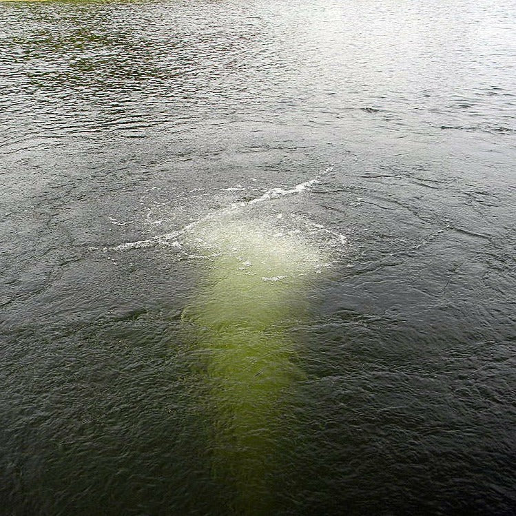 Load image into Gallery viewer, Scott Aerator: Bubble Pro Mini Sub-Surface Aerator - Up to 1 Acre
