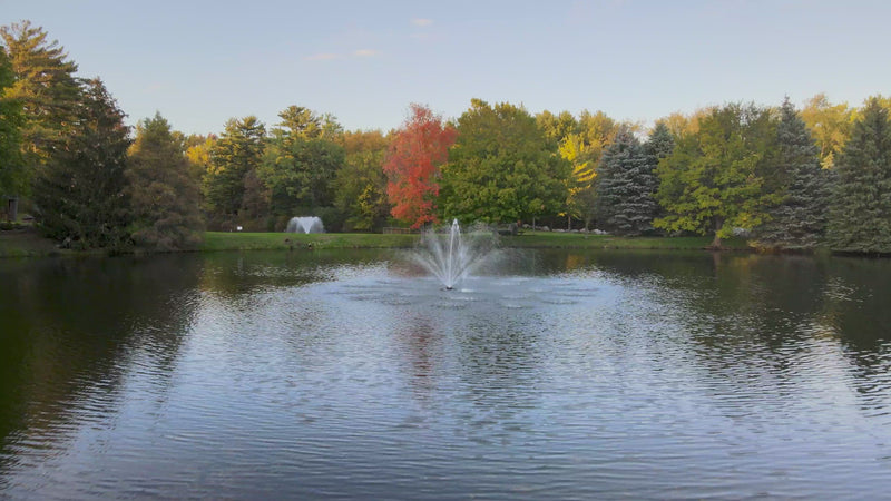 Load and play video in Gallery viewer, Scott Aerator Rosewood Fountain
