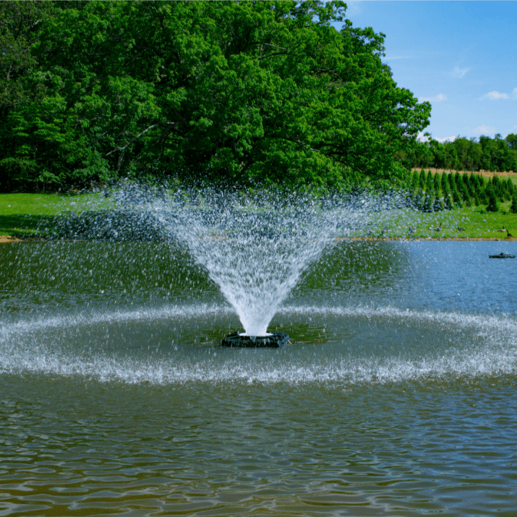 Load image into Gallery viewer, Hydrasearch: Power House Aerating Fountain 1 HP
