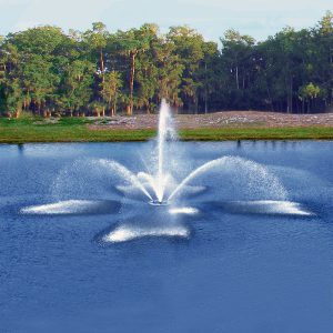 Load image into Gallery viewer, Vertex FanJet Commercial Fountain
